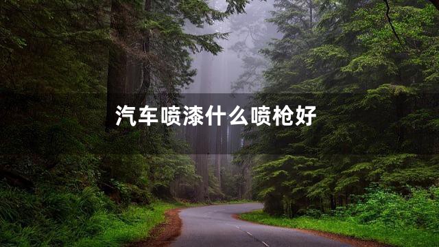 汽车喷漆什么喷枪好