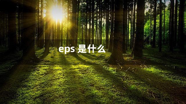 eps 是什么