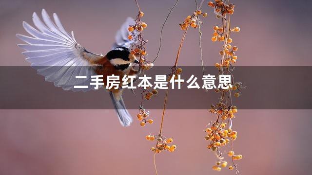 二手房红本是什么意思