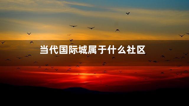 当代国际城属于什么社区