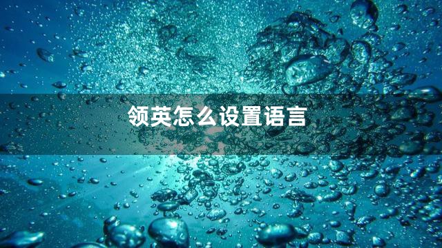 领英怎么设置语言