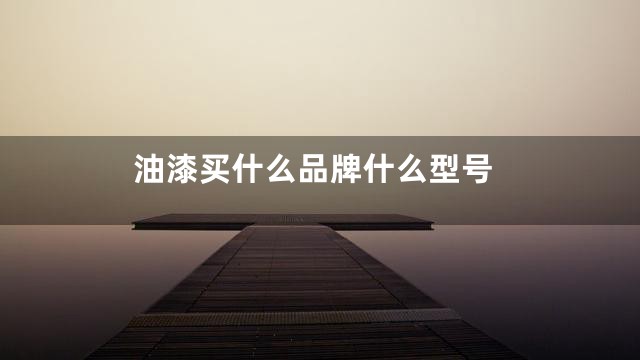 油漆买什么品牌什么型号