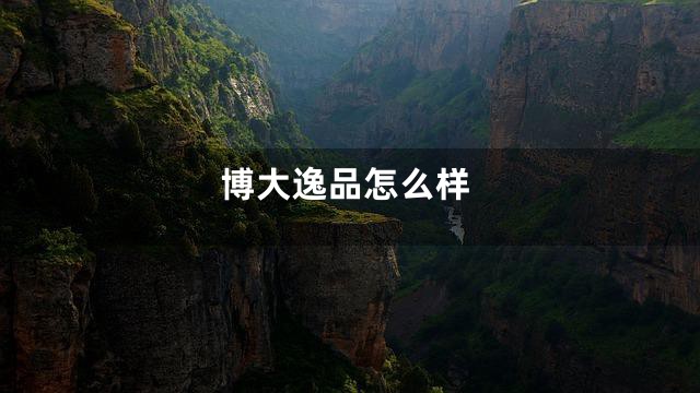 博大逸品怎么样