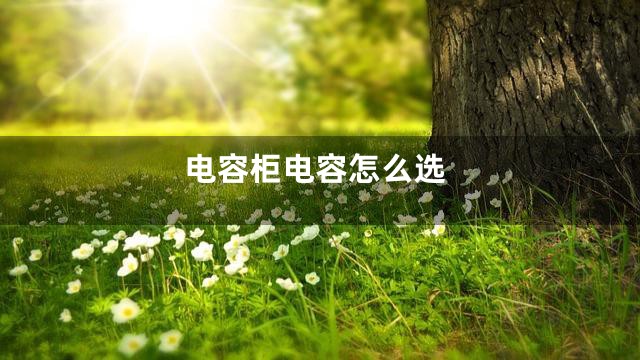 电容柜电容怎么选