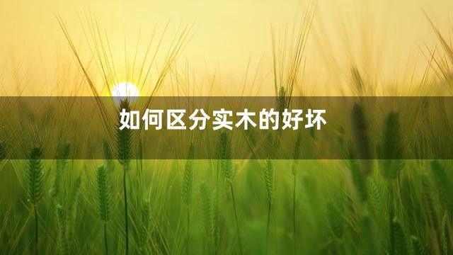 如何区分实木的好坏