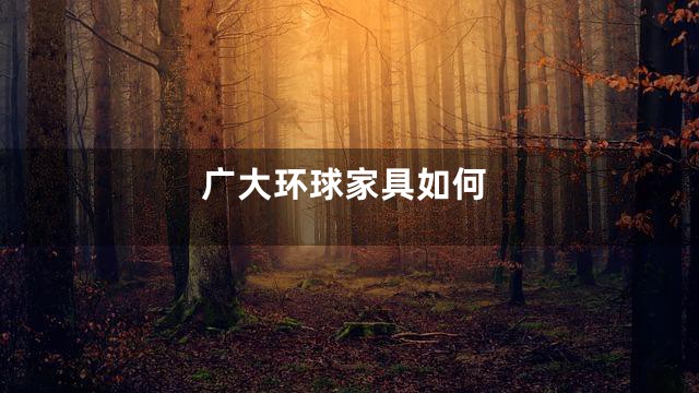 广大环球家具如何