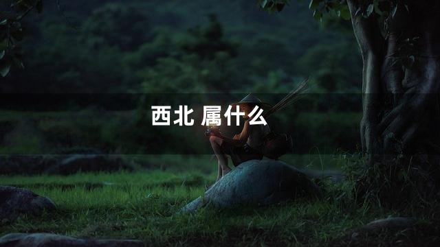 西北 属什么