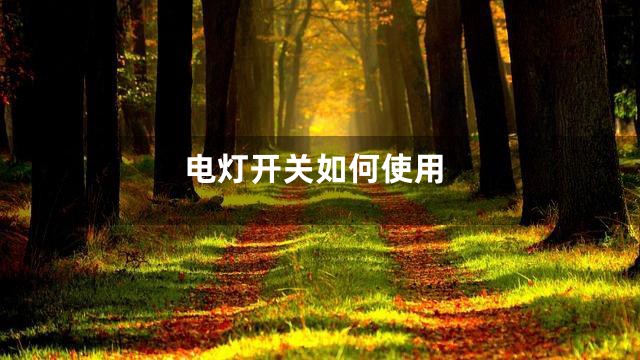 电灯开关如何使用
