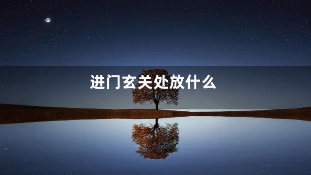 进门玄关处放什么