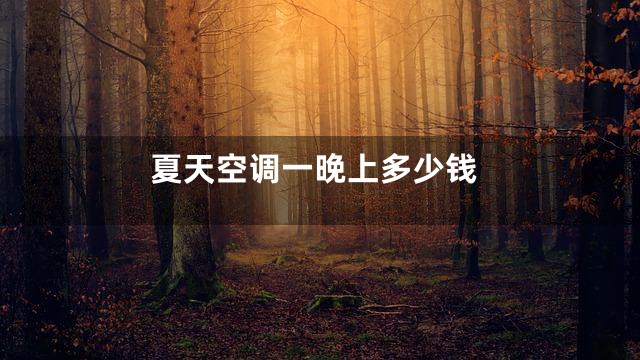夏天空调一晚上多少钱