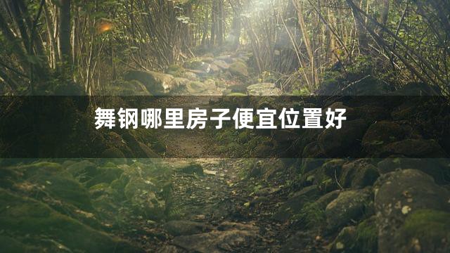 舞钢哪里房子便宜位置好