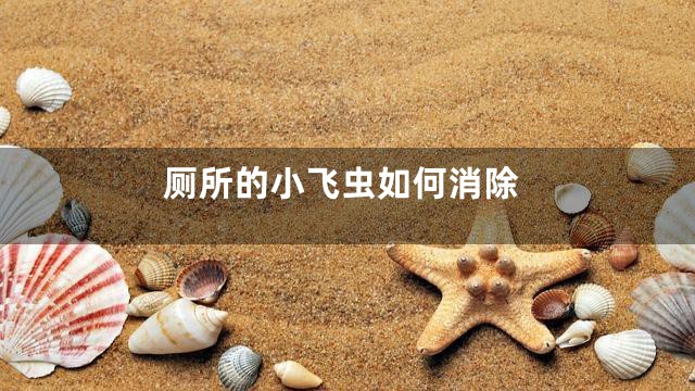 厕所的小飞虫如何消除
