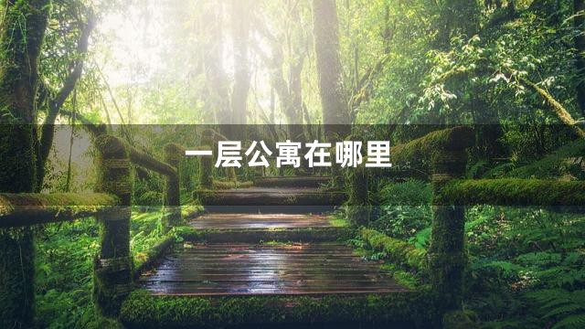 一层公寓在哪里