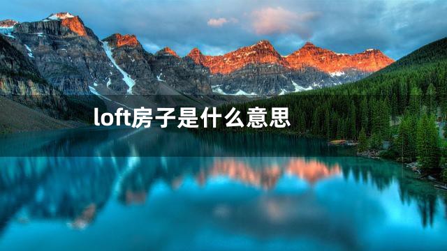 loft房子是什么意思