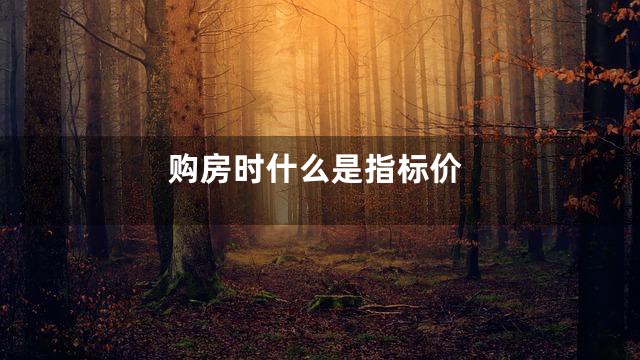 购房时什么是指标价