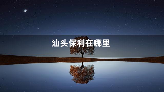 汕头保利在哪里