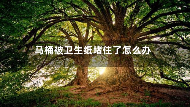 马桶被卫生纸堵住了怎么办