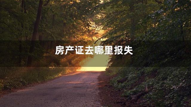 房产证去哪里报失