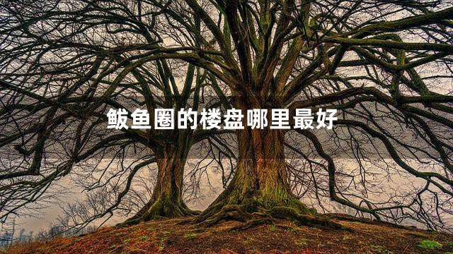 鲅鱼圈的楼盘哪里最好