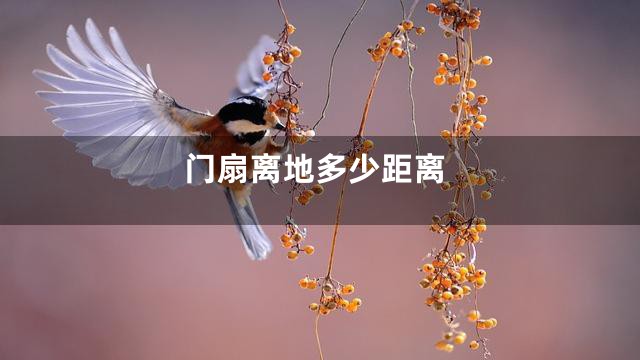 门扇离地多少距离