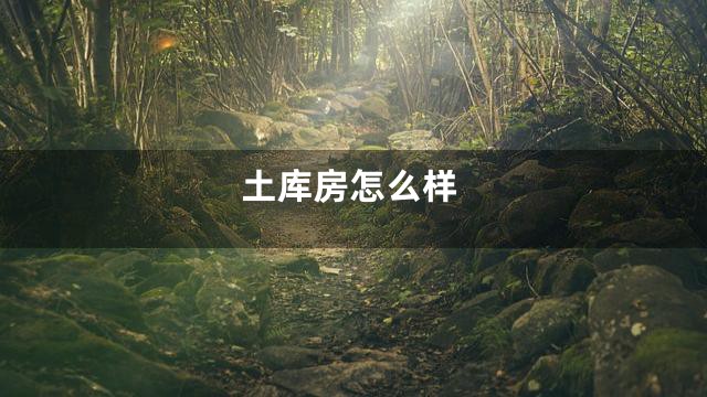土库房怎么样