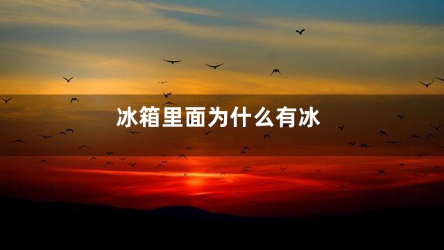 冰箱里面为什么有冰