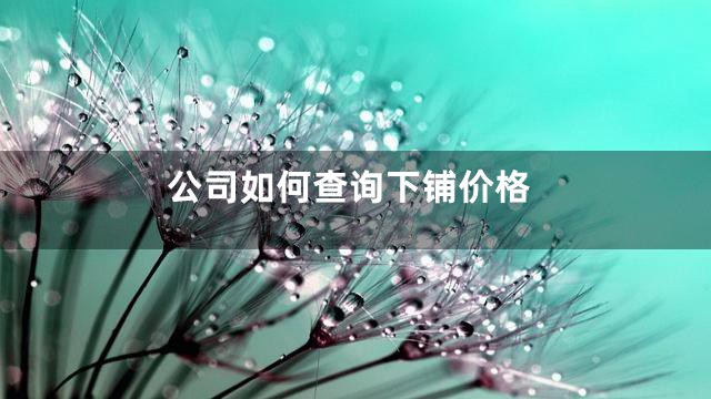 公司如何查询下铺价格
