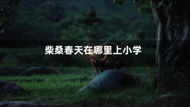 柴桑春天在哪里上小学