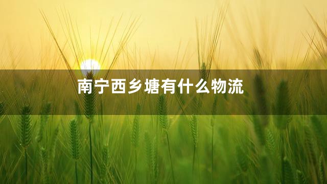 南宁西乡塘有什么物流