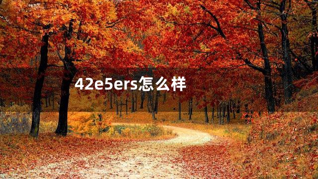 42e5ers怎么样