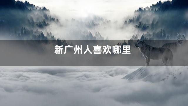 新广州人喜欢哪里