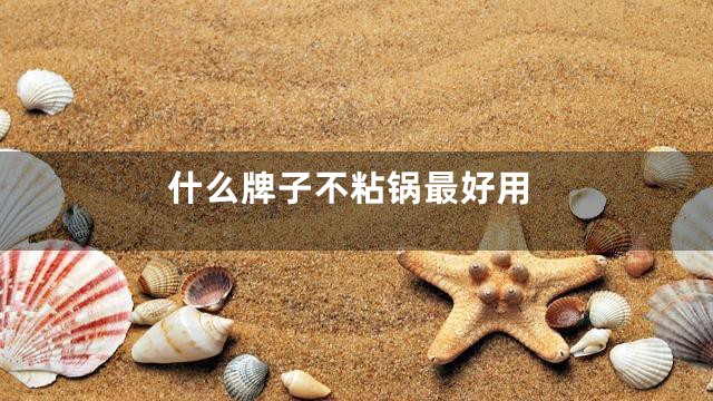 什么牌子不粘锅最好用