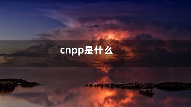 cnpp是什么
