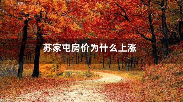 苏家屯房价为什么上涨