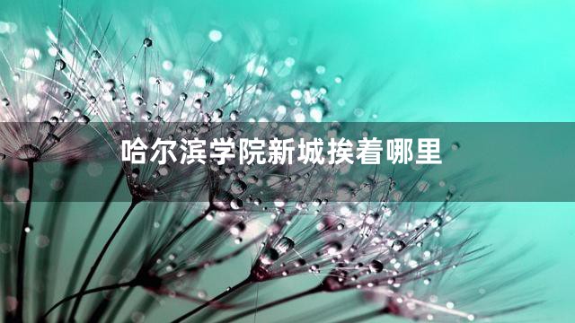 哈尔滨学院新城挨着哪里