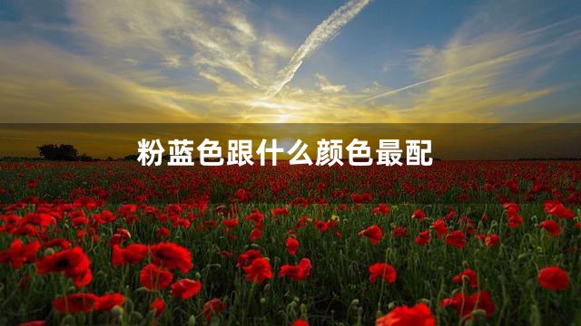 粉蓝色跟什么颜色最配