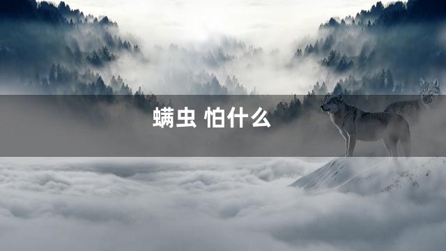 螨虫 怕什么