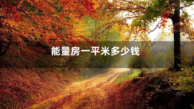 能量房一平米多少钱
