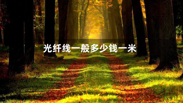 光纤线一般多少钱一米