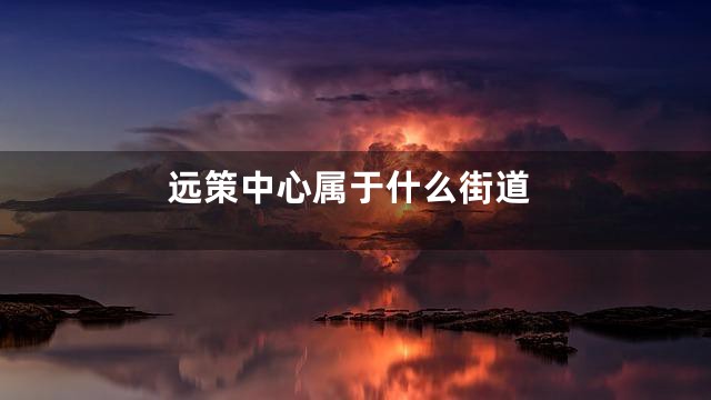 远策中心属于什么街道