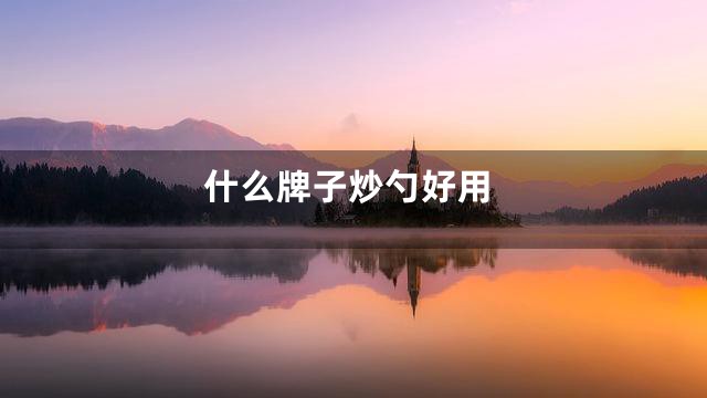 什么牌子炒勺好用