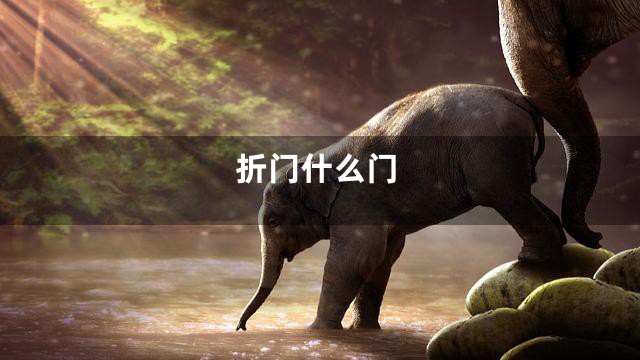 折门什么门