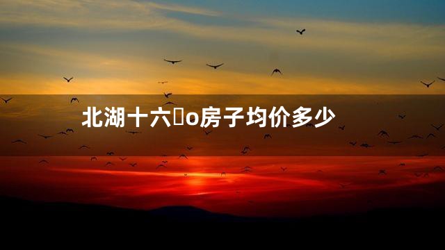 北湖十六o房子均价多少