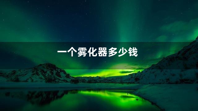 一个雾化器多少钱