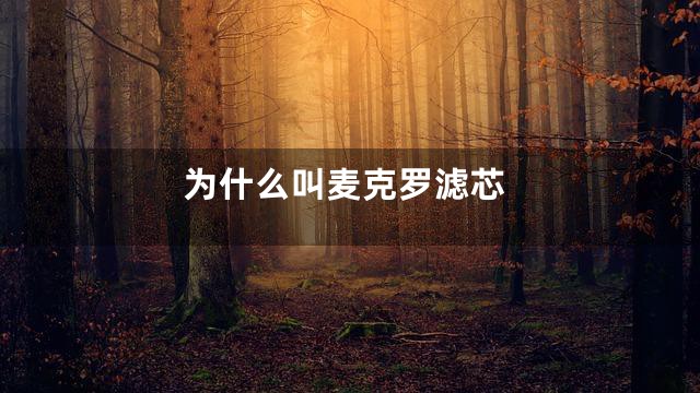 为什么叫麦克罗滤芯