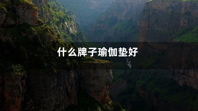 什么牌子瑜伽垫好