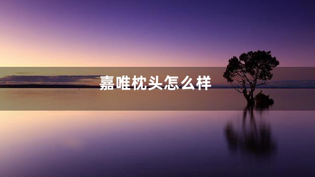 嘉唯枕头怎么样