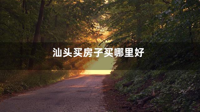 汕头买房子买哪里好