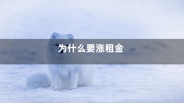 为什么要涨租金