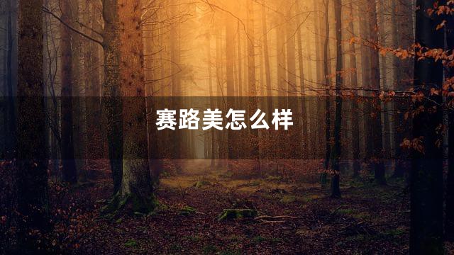 赛路美怎么样